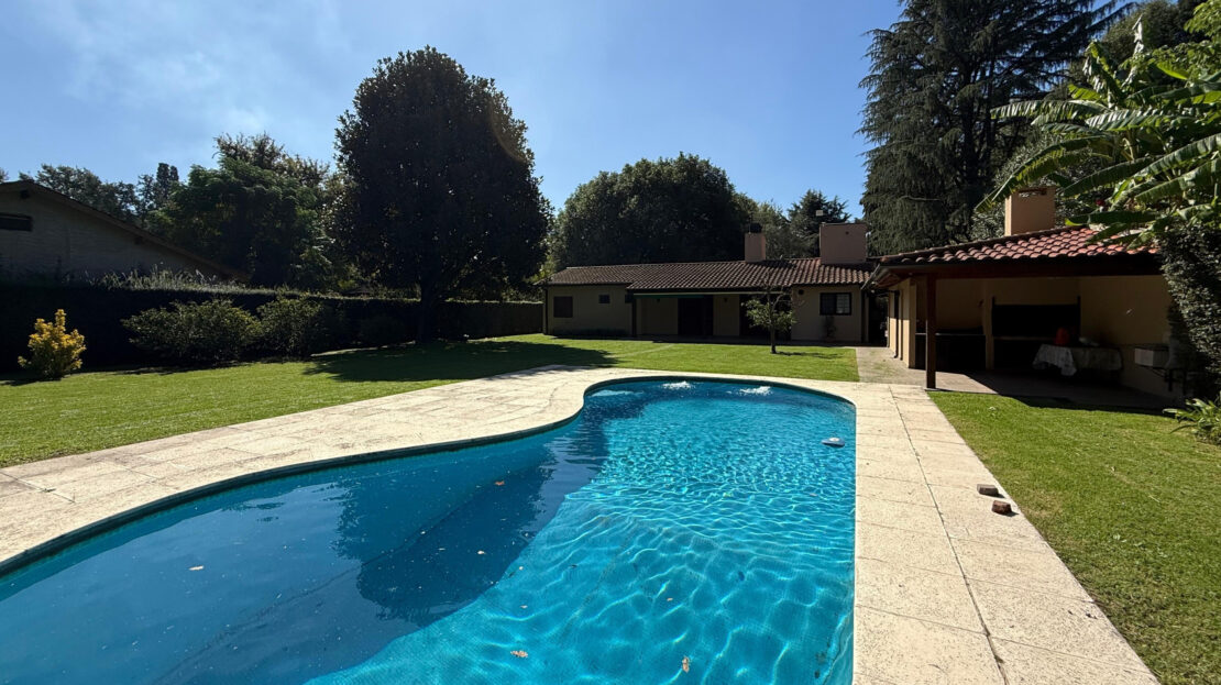 video image